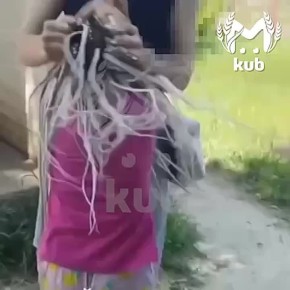     ,        