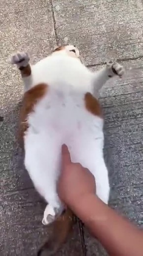    ,      ,   !