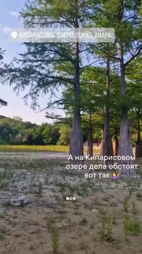 На Кипарисовом озере в Анапе пополнение