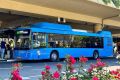 Ночной Сочи становится доступнее! Круглосуточные автобусы с 1 июля!