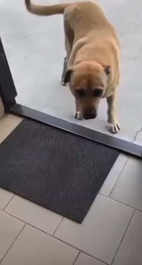      :      ,    