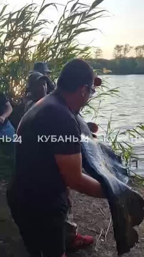 Что мы рассказывали 18 июня: