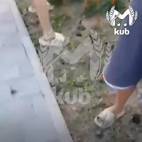 Кубанские подростки закидали памятник воинам ВОВ цветами, но есть нюанс