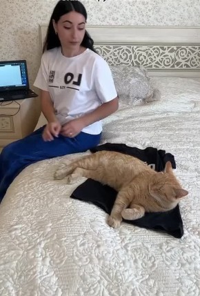   -  
