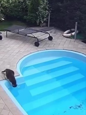   ,  -  