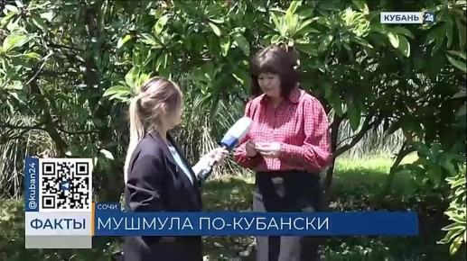 Туристы со всей страны съезжаются в Сочи в июне не только ради моря