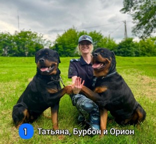  !.          ,       