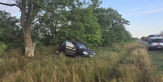 Пенсионерка погибла в ДТП в Павловском районе