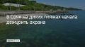 Первыми такими пляжами стали так называемые незакрепленные пляжи в поселке Дагомыс и на Мамайке