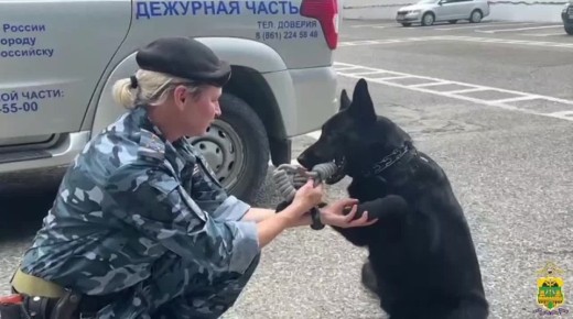 Мы - передали Бонни - получила!