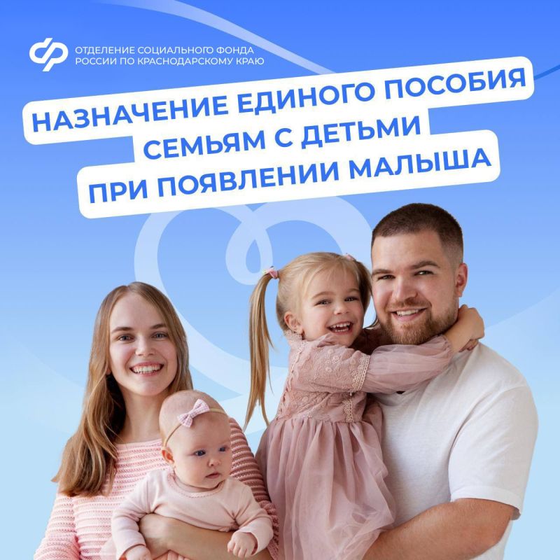 ЕДИНОЕ ПОСОБИЕ ОТ СФР: ПОДДЕРЖКА СЕМЕЙ КРАСНОДАРСКОГО КРАЯ