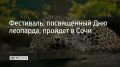 15 июля парке "Дендрарий" пройдет фестиваль, посвященный Дню леопарда