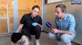 В краснодарском муниципальном приюте сейчас находятся около 60 собак