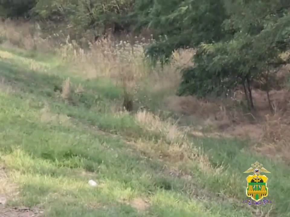     6- 