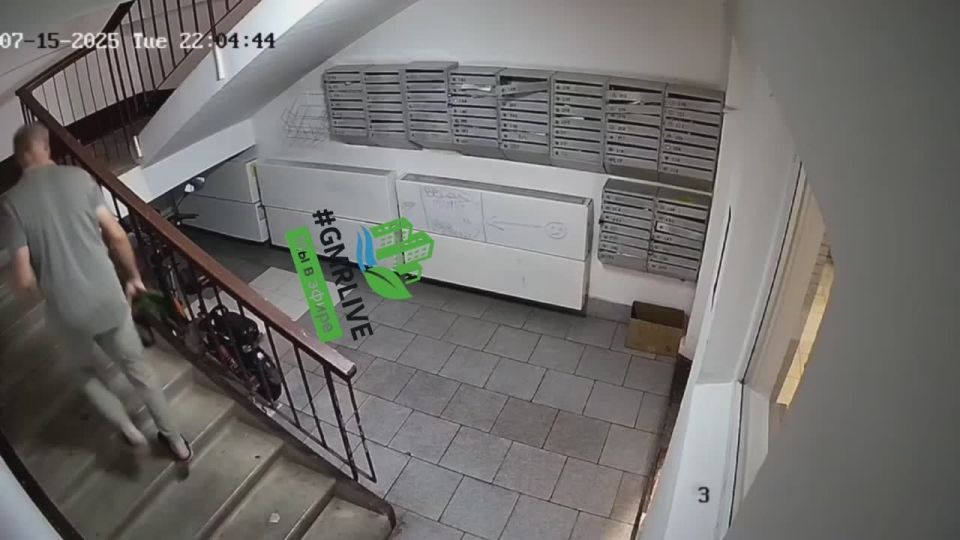    ,  -   