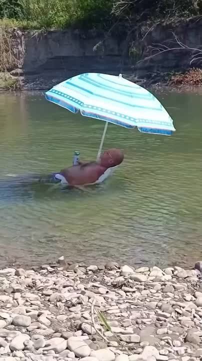  :  