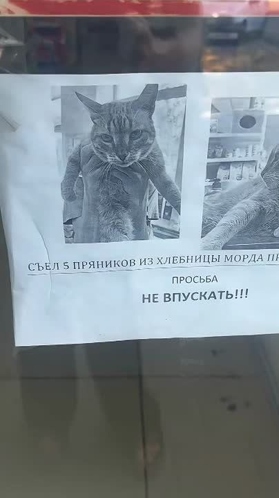   !          - ,    