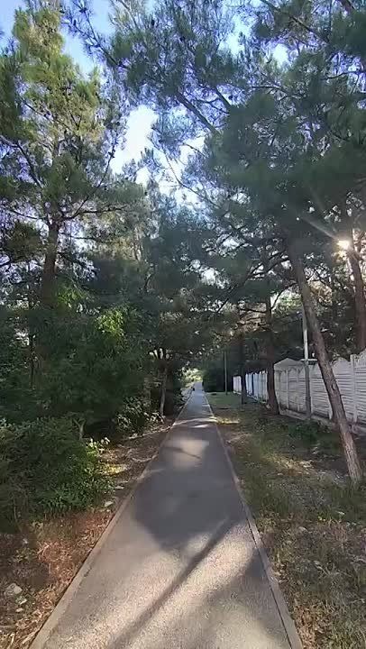    .    