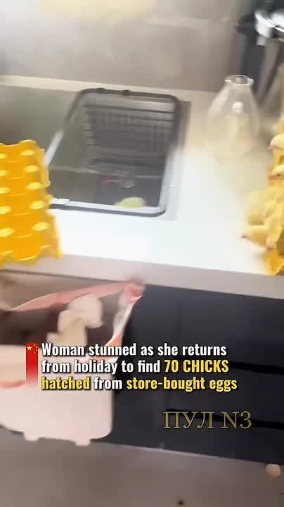          ,   70 