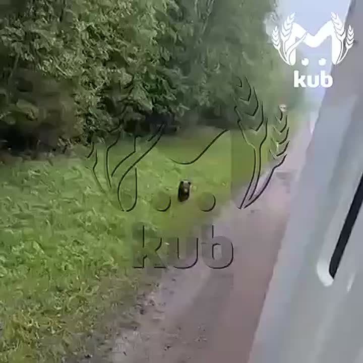&quot;! !    !&quot;
