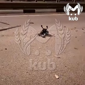     ,     