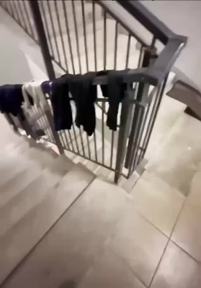   .      ,     