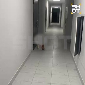     ,          