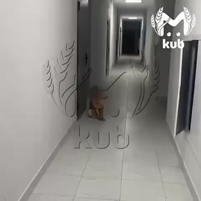      ,      ,    