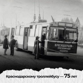  :     75  