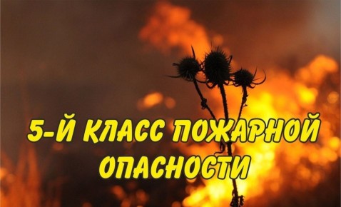     :    29.07.2025,      30.07.2025.         () 5  ()