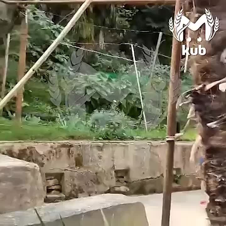       , 2.      