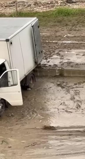         ,     