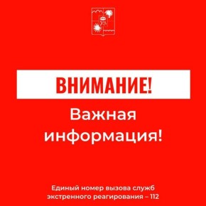  : .           ()    :