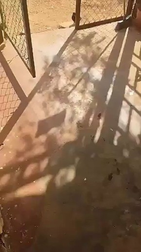 ,        