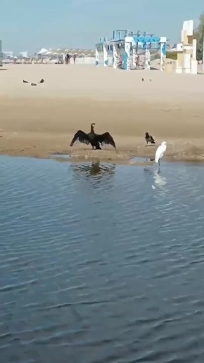    . ,  , , , 