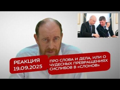  19.09.2025    ,       