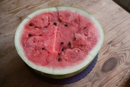     :       ,   