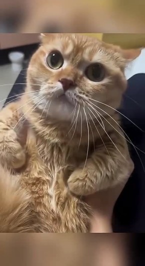          !
