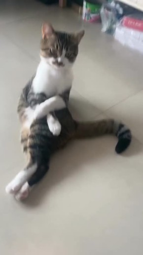  -  ,  