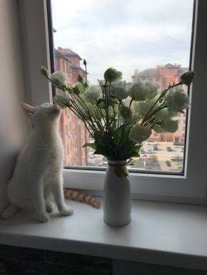    21 .     