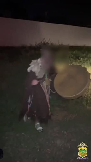 .  ,  ,        ,    