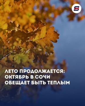    !          ,  