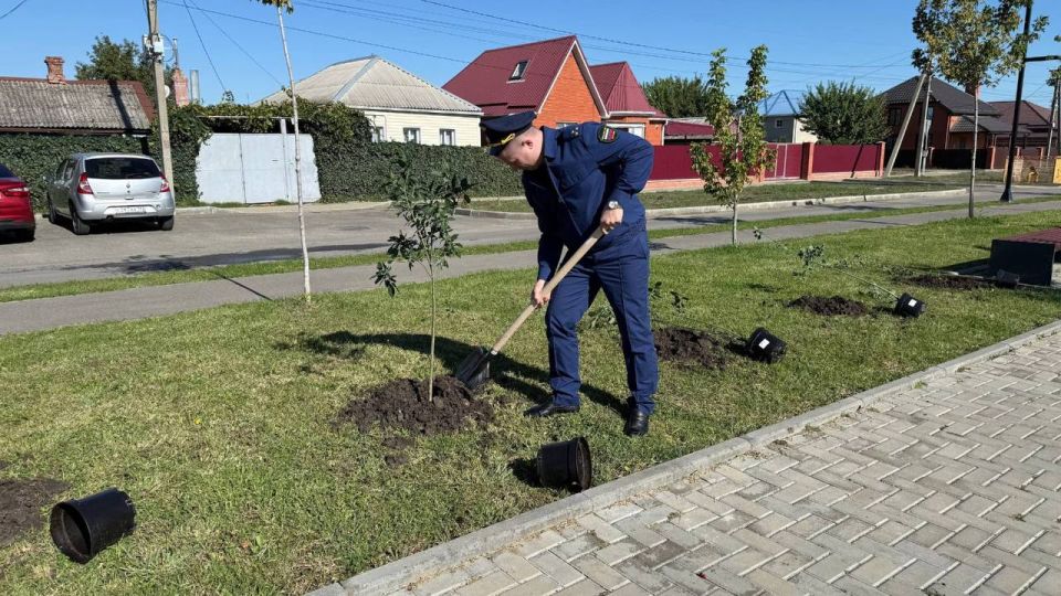 Прокуратура Тимашевского района приняла участие в экологической акции по высадке деревьев
