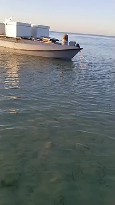   ,   