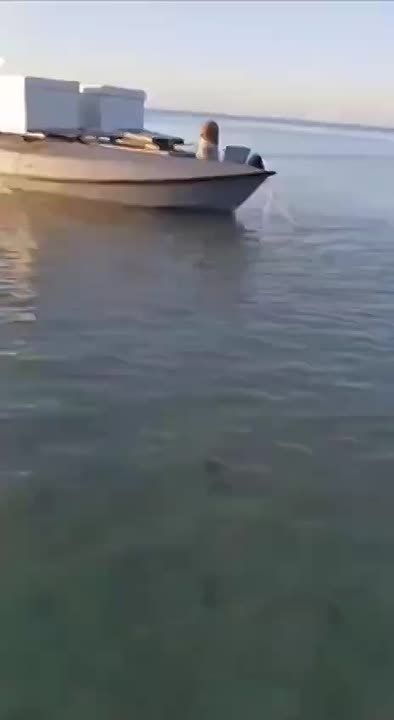         ,     