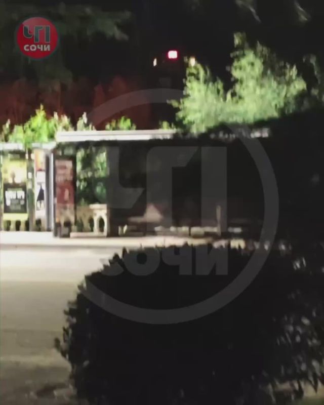 ,  , .    , ,   ,      