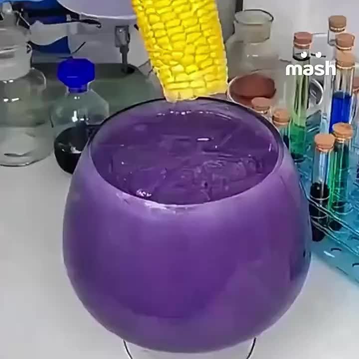   :    