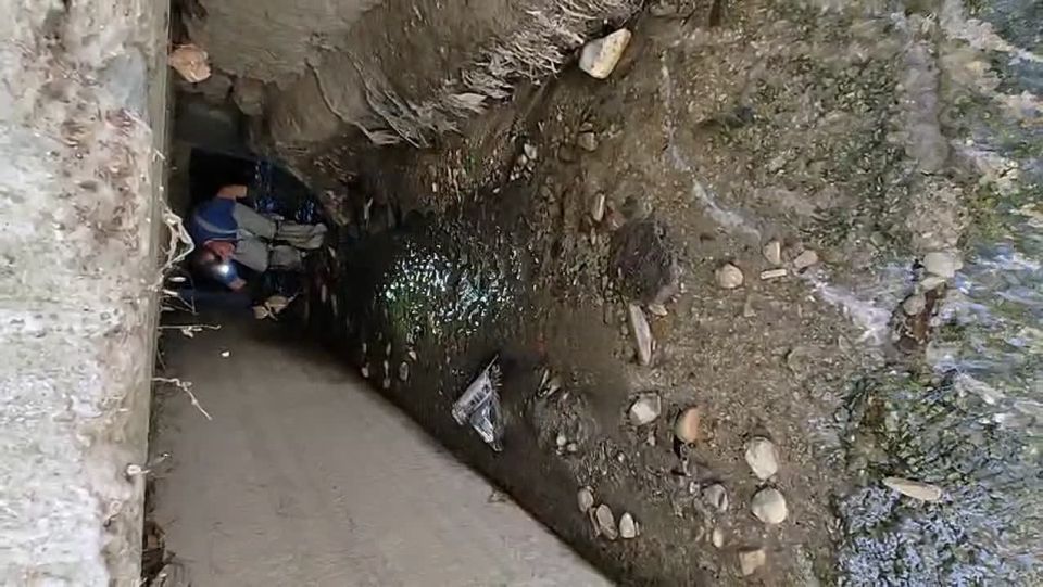       ,   