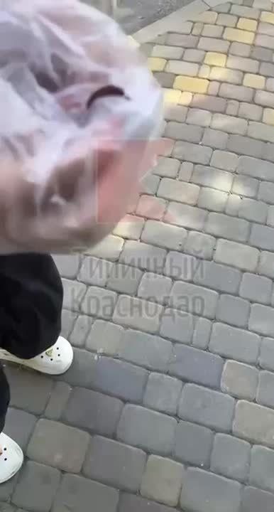   .      ,  -       