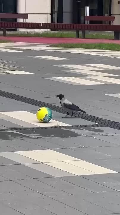 А вы все ещё ищете оправдания, чтобы не заниматься спортом?